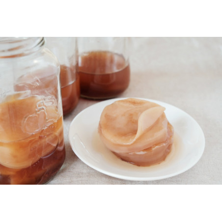 Simple - Probiotikus Kombucha tea-gomba 1 liter kombucha-italhoz Bifidobacteriummal